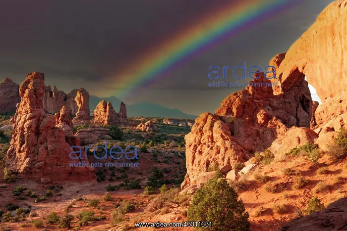 : South Window in morning light and rainbow, Arches : South Window in morning light and rainbow, Arches