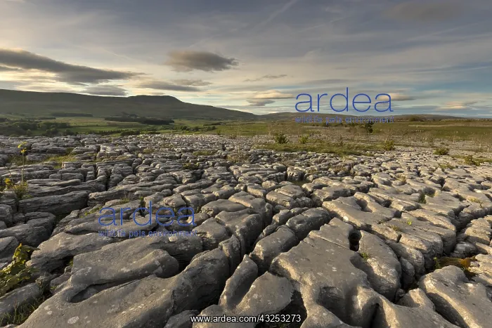 : Souther Scales - View of Whernside - Yorkshire - UK : Souther Scales - View of Whernside - Yorkshire - UK