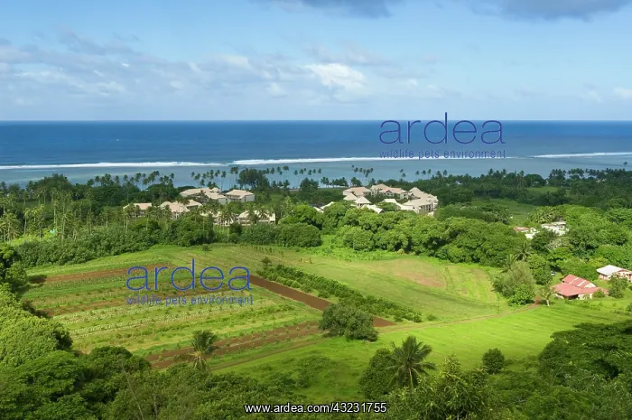 : Southern coastline, Rarotonga Island, Cook : Southern coastline, Rarotonga Island, Cook
