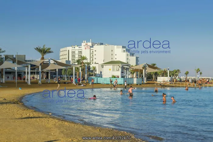 : Southern Dead Sea, hotel facilities, En Bokek, Israel : Southern Dead Sea, hotel facilities, En Bokek, Israel