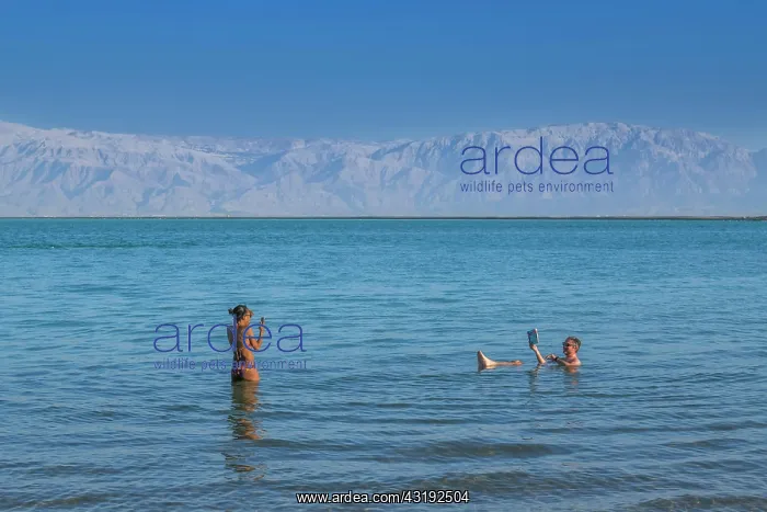 : Southern Dead Sea, People, Bathing, En Bokek, Israel : Southern Dead Sea, People, Bathing, En Bokek, Israel