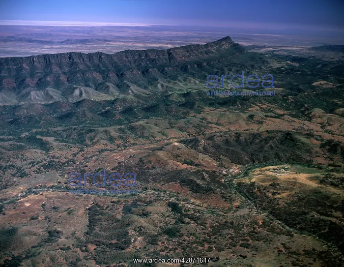 : Southern Flinders Ranges : Southern Flinders Ranges