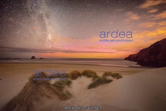 : Southern lights, aurora australis with Milky Way : Southern lights, aurora australis with Milky Way
