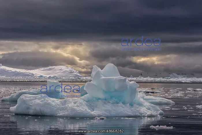 : Southern Ocean, Antarctica, Paradise Harbour. Scenics of the : Southern Ocean, Antarctica, Paradise Harbour. Scenics of the