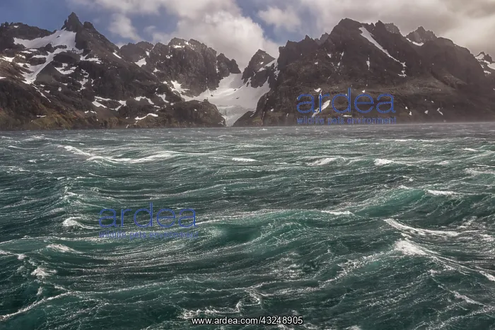: Southern Ocean, South Georgia, Drygalski Fjord : Southern Ocean, South Georgia, Drygalski Fjord