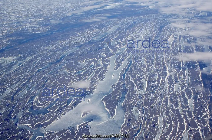 : The Southern Tip of Greenland : The Southern Tip of Greenland