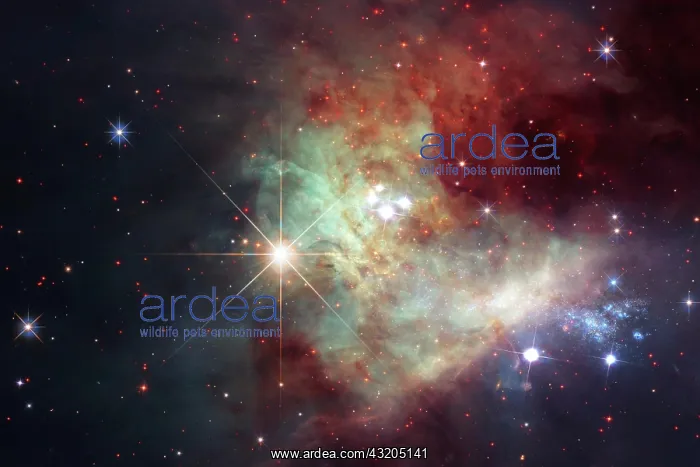: Space background with star field. Science fiction : Space background with star field. Science fiction