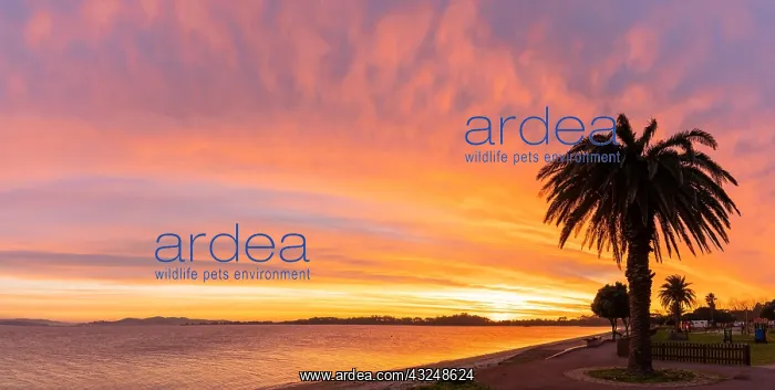 : Spain - 1 December 2020: bright colorful sunset : Spain - 1 December 2020: bright colorful sunset