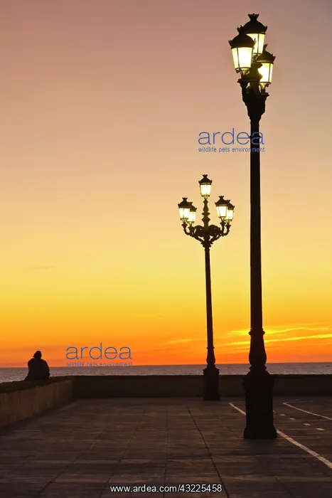  : Spain, Andalucia Region, Cadiz Province