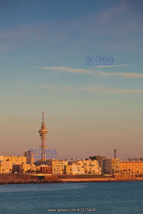 : Spain, Andalucia Region, Cadiz Province : Spain, Andalucia Region, Cadiz Province