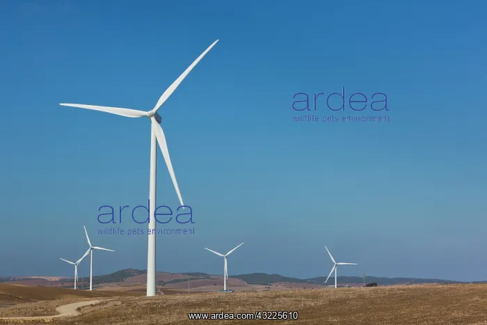 : Spain, Andalucia Region, Cadiz Province : Spain, Andalucia Region, Cadiz Province