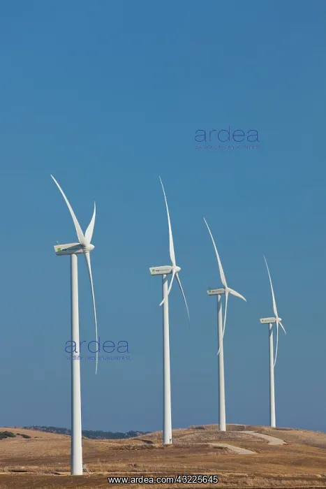 : Spain, Andalucia Region, Cadiz Province : Spain, Andalucia Region, Cadiz Province