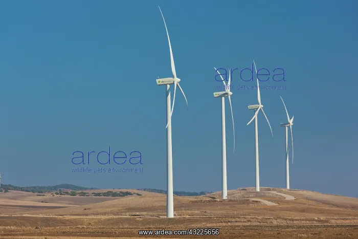 : Spain, Andalucia Region, Cadiz Province : Spain, Andalucia Region, Cadiz Province