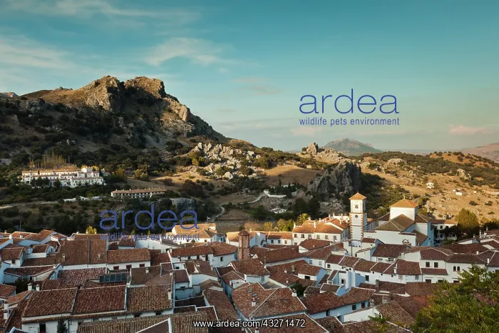 : Spain, Andalucia Region, Cadiz Province : Spain, Andalucia Region, Cadiz Province