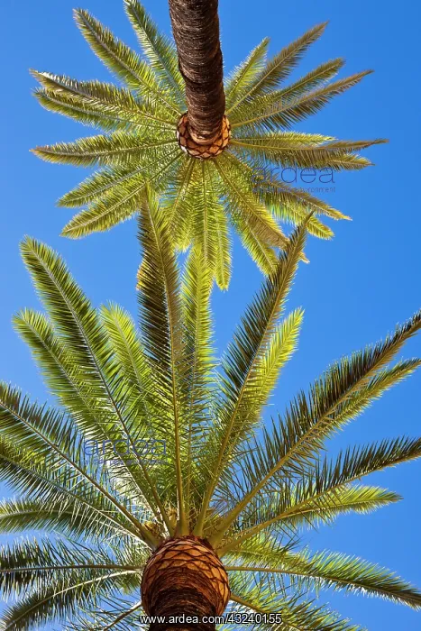 : Spain, Andalucia Region, Seville Province : Spain, Andalucia Region, Seville Province