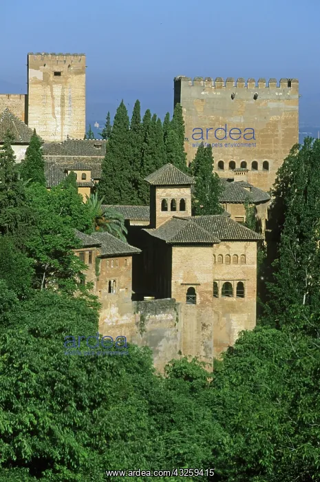 : Spain, Andalusia, Granada, Alhambra, view : Spain, Andalusia, Granada, Alhambra, view
