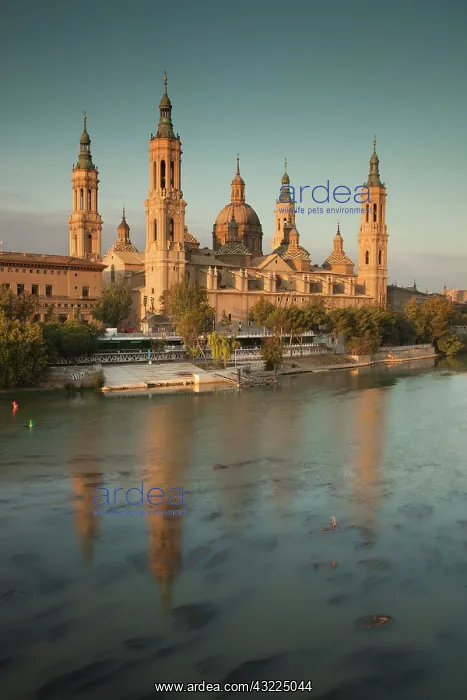 : Spain, Aragon Region, Zaragoza Province : Spain, Aragon Region, Zaragoza Province