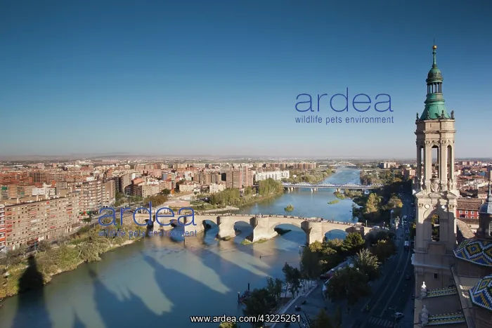 : Spain, Aragon Region, Zaragoza Province : Spain, Aragon Region, Zaragoza Province