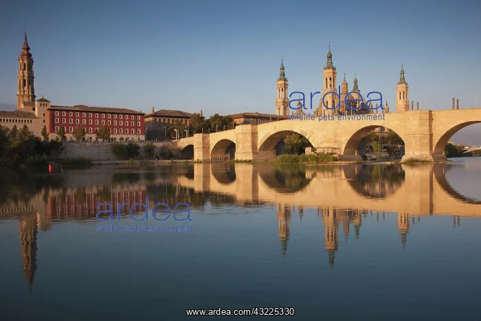 : Spain, Aragon Region, Zaragoza Province : Spain, Aragon Region, Zaragoza Province