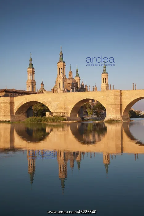 : Spain, Aragon Region, Zaragoza Province : Spain, Aragon Region, Zaragoza Province