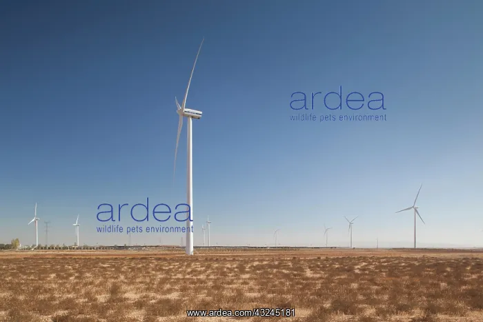 : Spain, Aragon Region, Zaragoza Province : Spain, Aragon Region, Zaragoza Province