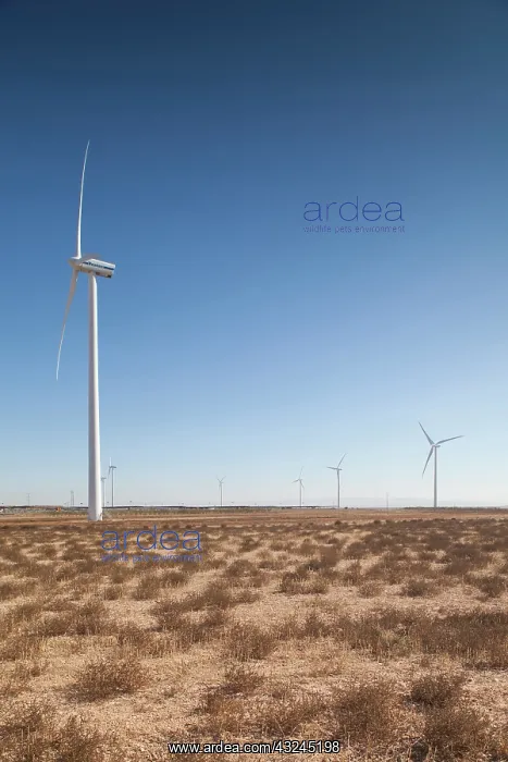 : Spain, Aragon Region, Zaragoza Province : Spain, Aragon Region, Zaragoza Province