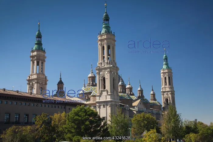 : Spain, Aragon Region, Zaragoza Province : Spain, Aragon Region, Zaragoza Province