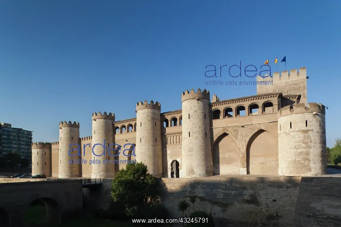 : Spain, Aragon Region, Zaragoza Province : Spain, Aragon Region, Zaragoza Province