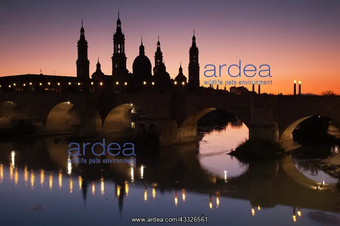: Spain, Aragon Region, Zaragoza Province : Spain, Aragon Region, Zaragoza Province