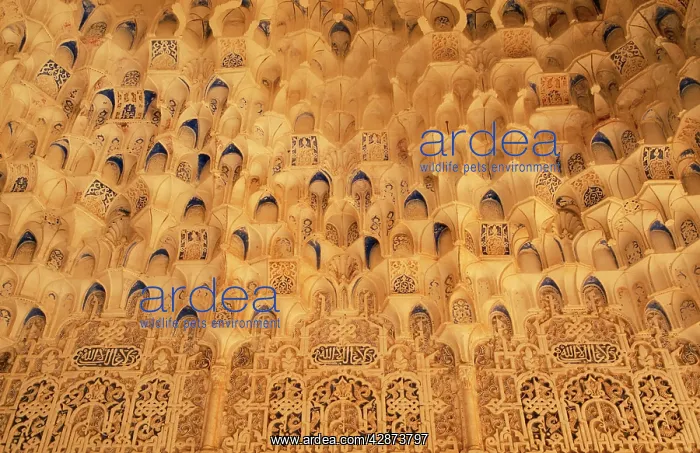 : SPAIN - artistic corner of the Patio de los Arrayanes : SPAIN - artistic corner of the Patio de los Arrayanes
