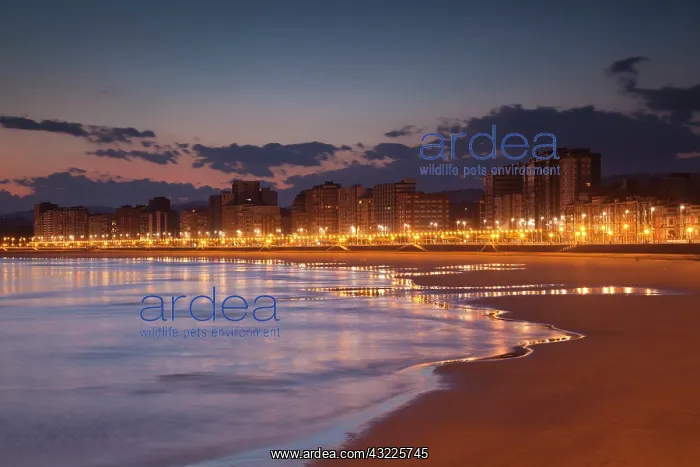 : Spain, Asturias Region, Asturias Province : Spain, Asturias Region, Asturias Province
