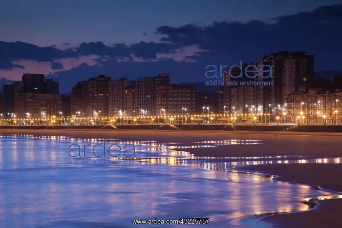 : Spain, Asturias Region, Asturias Province : Spain, Asturias Region, Asturias Province