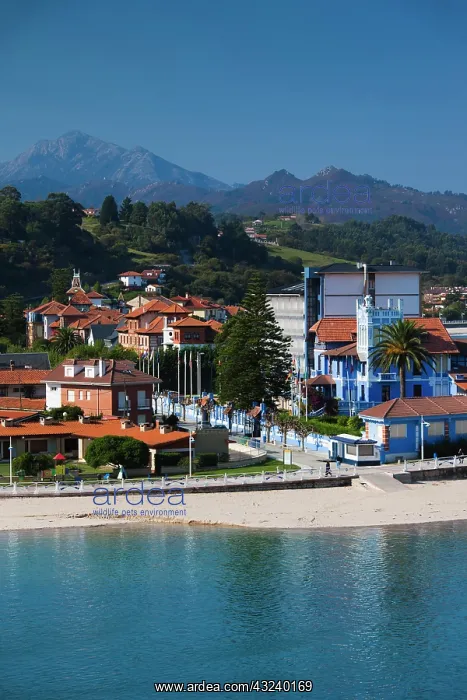 : Spain, Asturias Region, Asturias Province : Spain, Asturias Region, Asturias Province