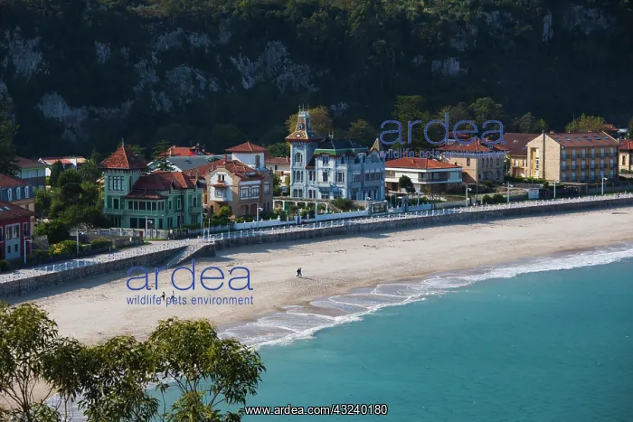 : Spain, Asturias Region, Asturias Province : Spain, Asturias Region, Asturias Province
