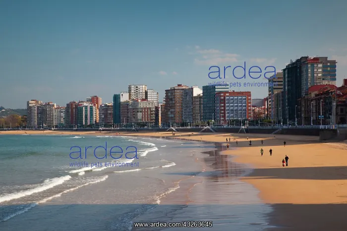 : Spain, Asturias Region, Asturias Province : Spain, Asturias Region, Asturias Province