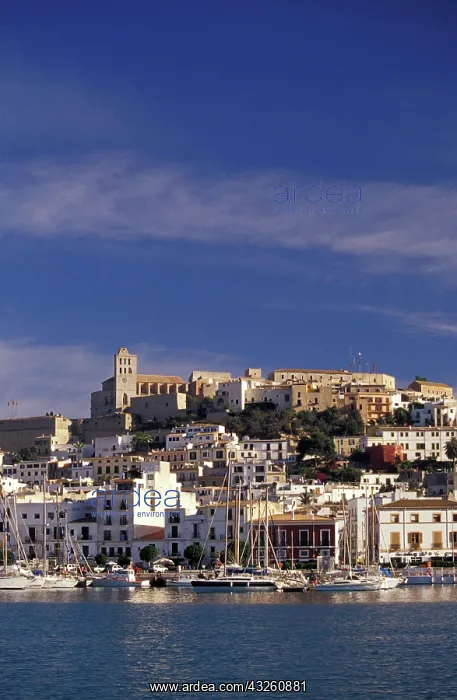 : Spain, Balearics, Ibiza, Eivissa. City view : Spain, Balearics, Ibiza, Eivissa. City view