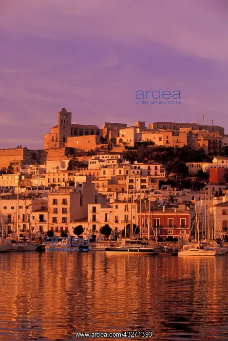 : Spain, Balearics, Ibiza, Eivissa. City view : Spain, Balearics, Ibiza, Eivissa. City view