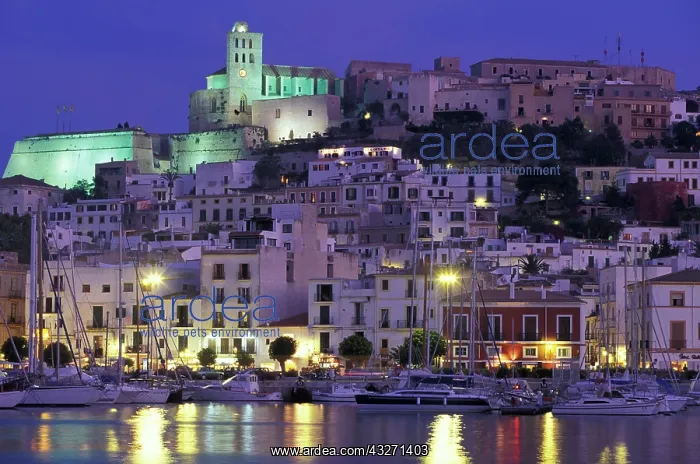 : Spain, Balearics, Ibiza, Eivissa. City view : Spain, Balearics, Ibiza, Eivissa. City view