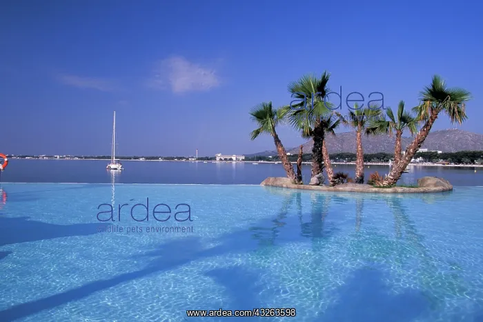 : Spain, Balearics, Mallorca, Port D'Alcudia : Spain, Balearics, Mallorca, Port D'Alcudia