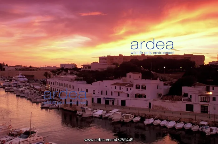 : Spain, Balearics, Menorca, Ciutadella. Sunset : Spain, Balearics, Menorca, Ciutadella. Sunset
