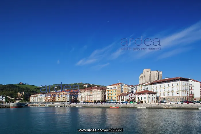 : Spain, Basque Country Region, Guipuzcoa : Spain, Basque Country Region, Guipuzcoa