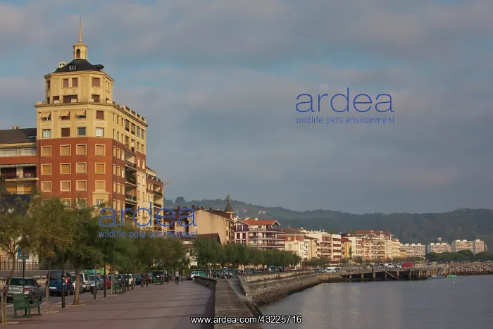 : Spain, Basque Country Region, Guipuzcoa : Spain, Basque Country Region, Guipuzcoa