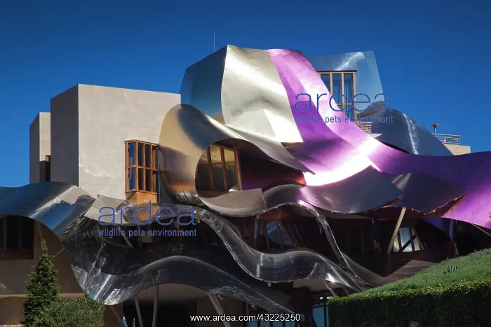  : Spain, Basque Country Region, La Rioja Area