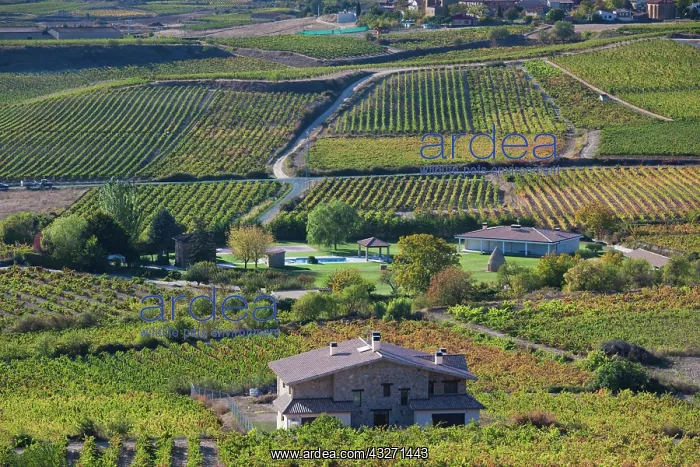 : Spain, Basque Country Region, La Rioja Area : Spain, Basque Country Region, La Rioja Area