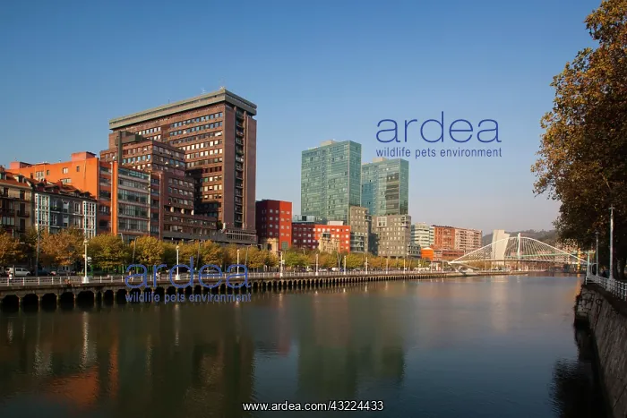 : Spain, Basque Country Region, Vizcaya Province : Spain, Basque Country Region, Vizcaya Province