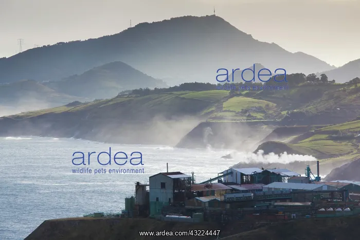 : Spain, Basque Country Region, Vizcaya Province : Spain, Basque Country Region, Vizcaya Province