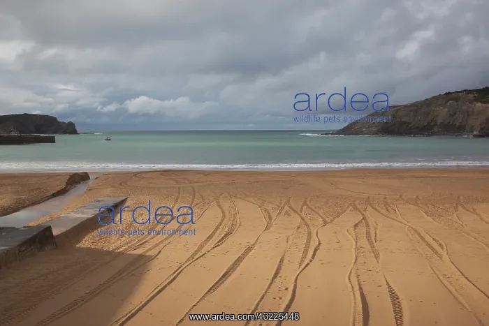 : Spain, Basque Country Region, Vizcaya Province : Spain, Basque Country Region, Vizcaya Province
