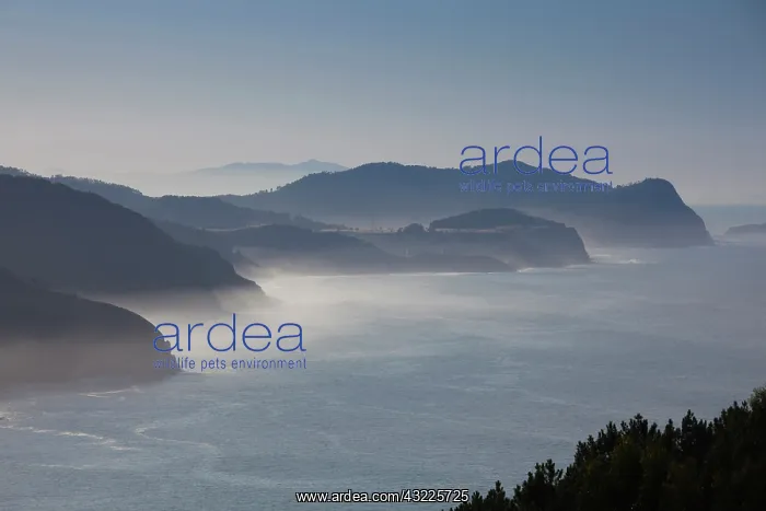 : Spain, Basque Country Region, Vizcaya Province : Spain, Basque Country Region, Vizcaya Province