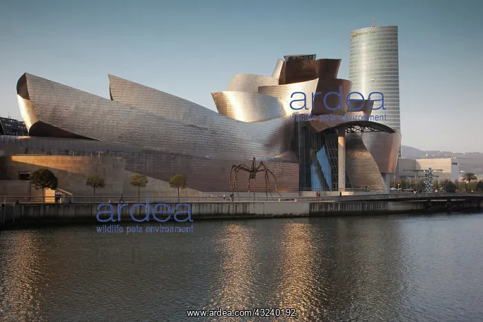 : Spain, Basque Country Region, Vizcaya Province : Spain, Basque Country Region, Vizcaya Province