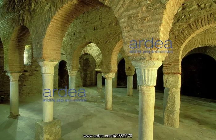 : Spain - Brick horseshoe arches in the tenth-century : Spain - Brick horseshoe arches in the tenth-century